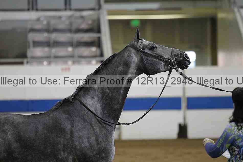 Proof 12r13_2948
