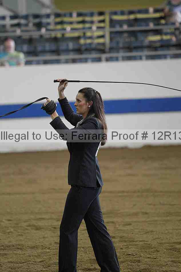 Proof 12r13_2949