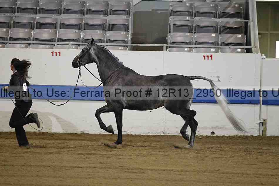 Proof 12r13_2950