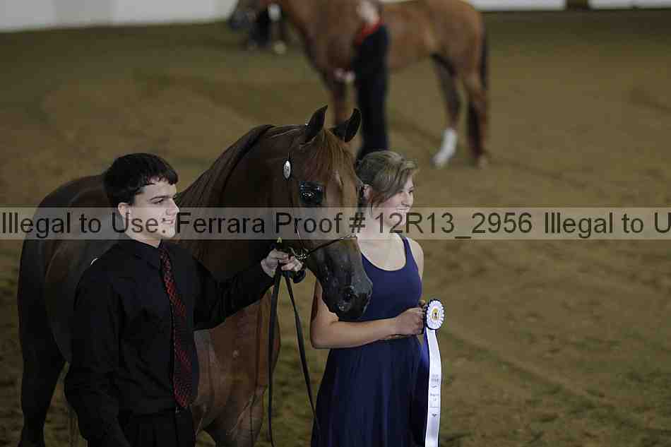 Proof 12r13_2956