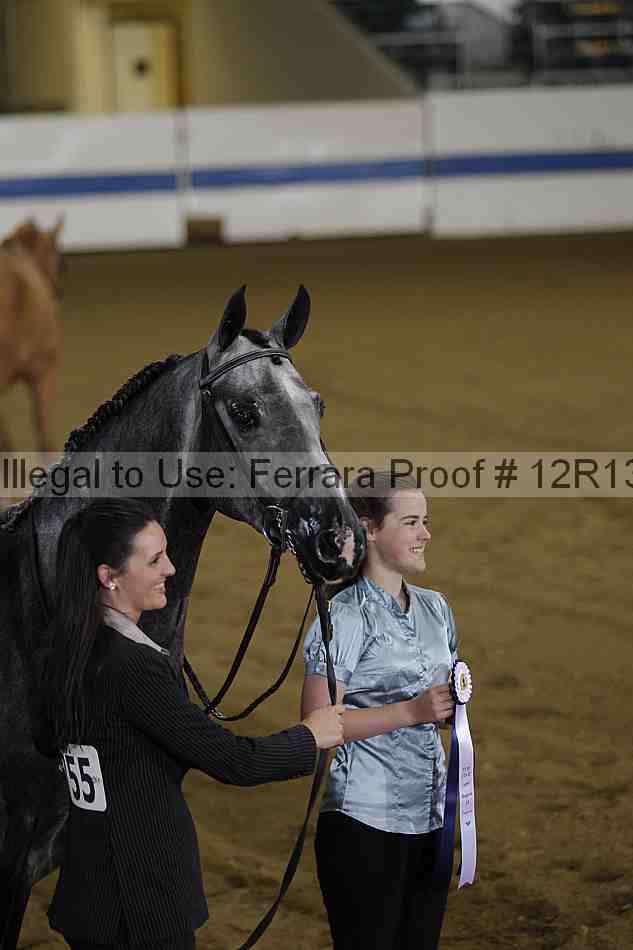 Proof 12r13_2957