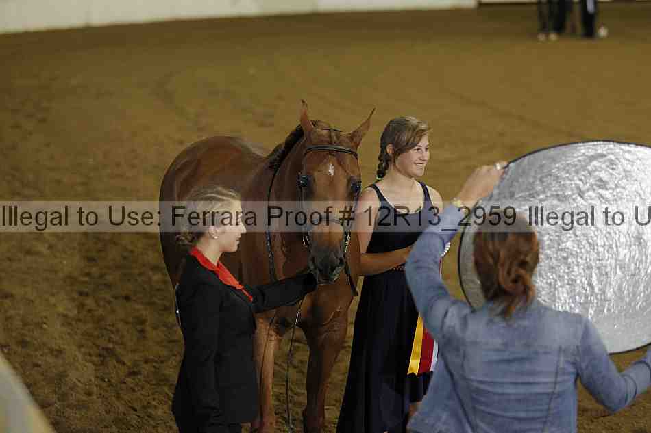 Proof 12r13_2959