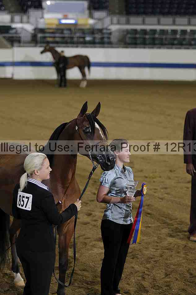 Proof 12r13_2962