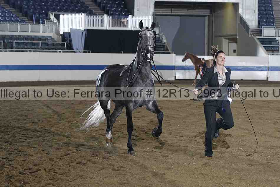 Proof 12r13_2963