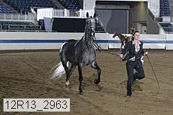 12r13_2963 proof