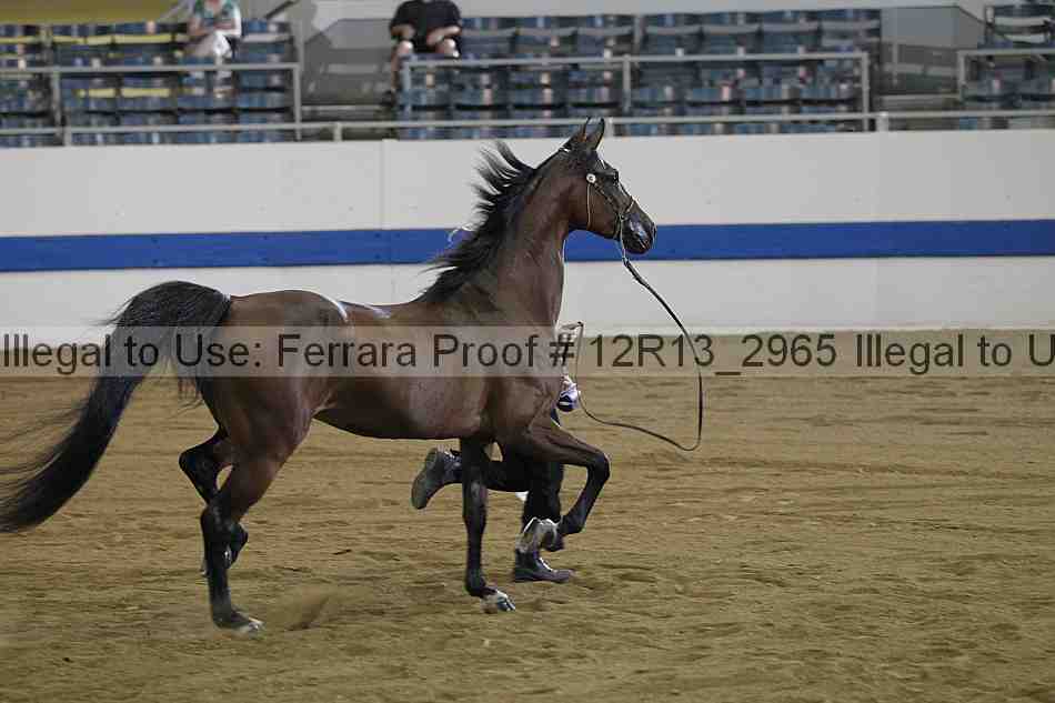Proof 12r13_2965