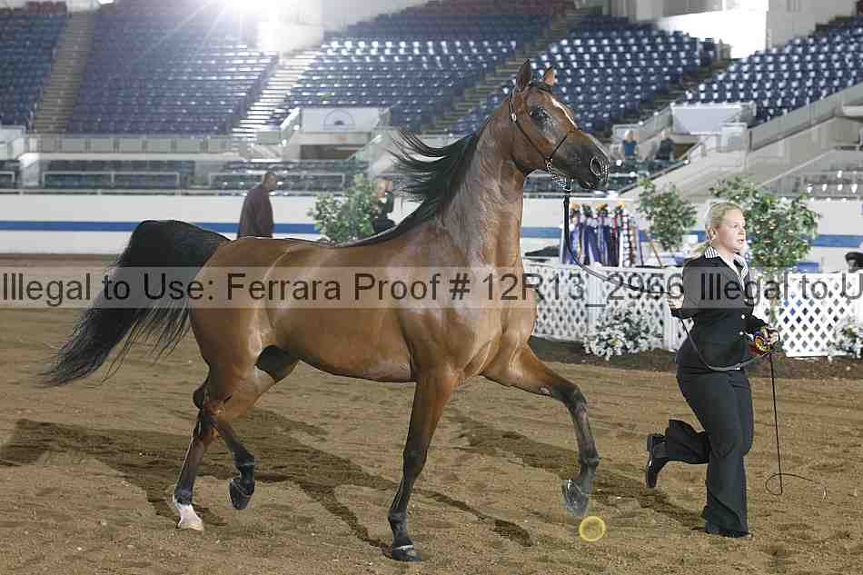 Proof 12r13_2966