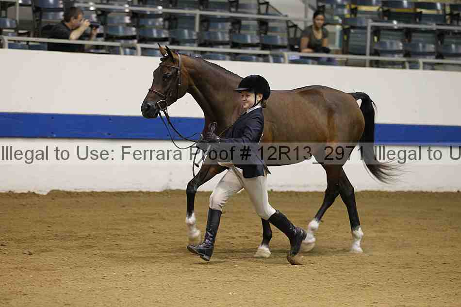 Proof 12r13_2971