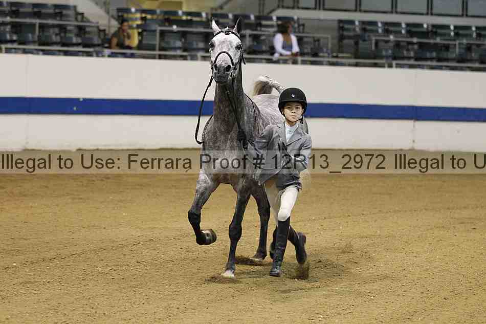 Proof 12r13_2972