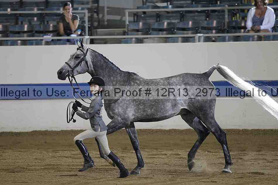 Proof 12r13_2973
