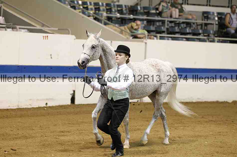 Proof 12r13_2974