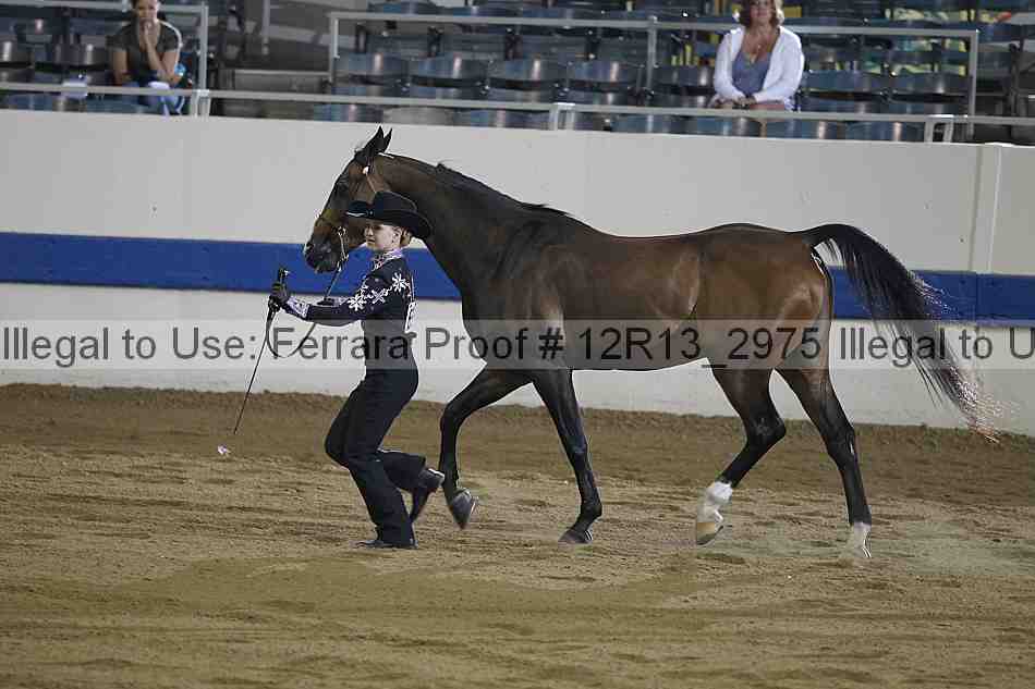 Proof 12r13_2975