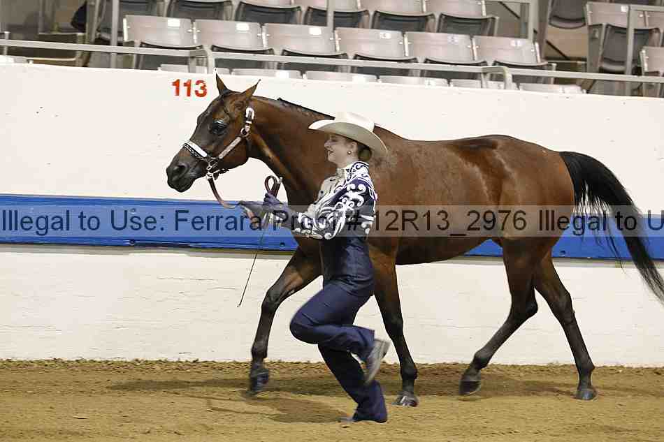 Proof 12r13_2976