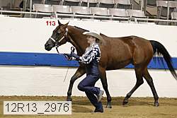 12r13_2976 proof