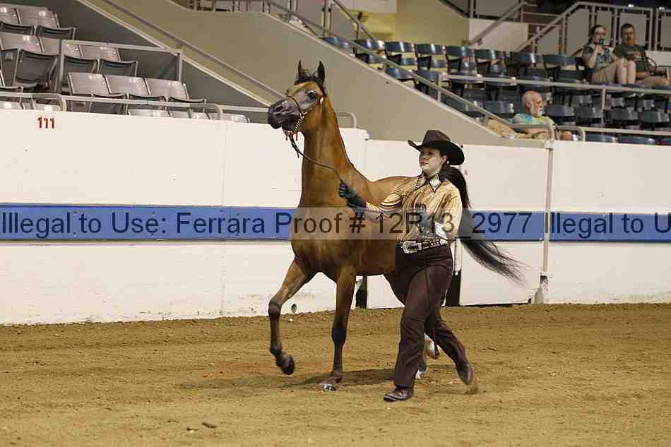 Proof 12r13_2977
