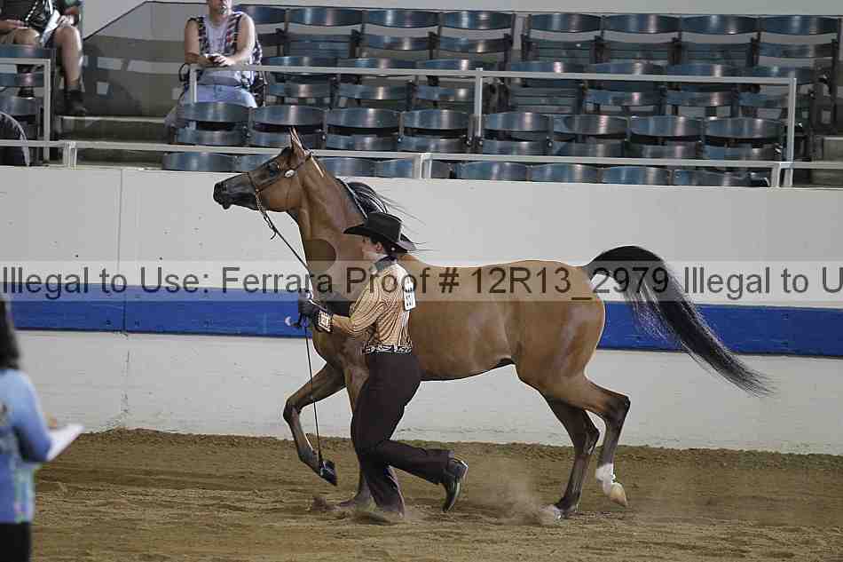 Proof 12r13_2979