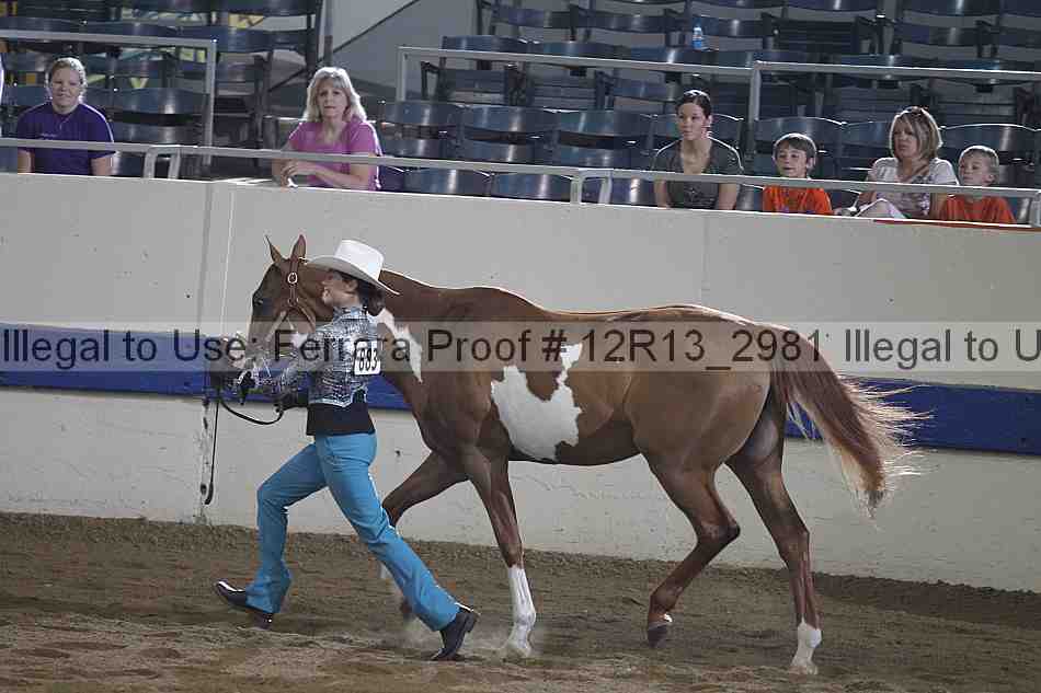 Proof 12r13_2981