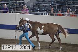 12r13_2981 proof