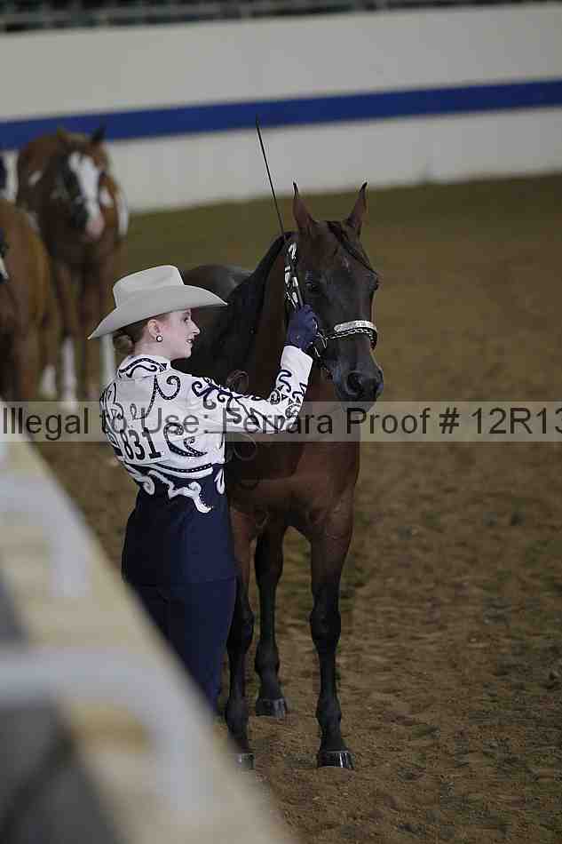 Proof 12r13_2986