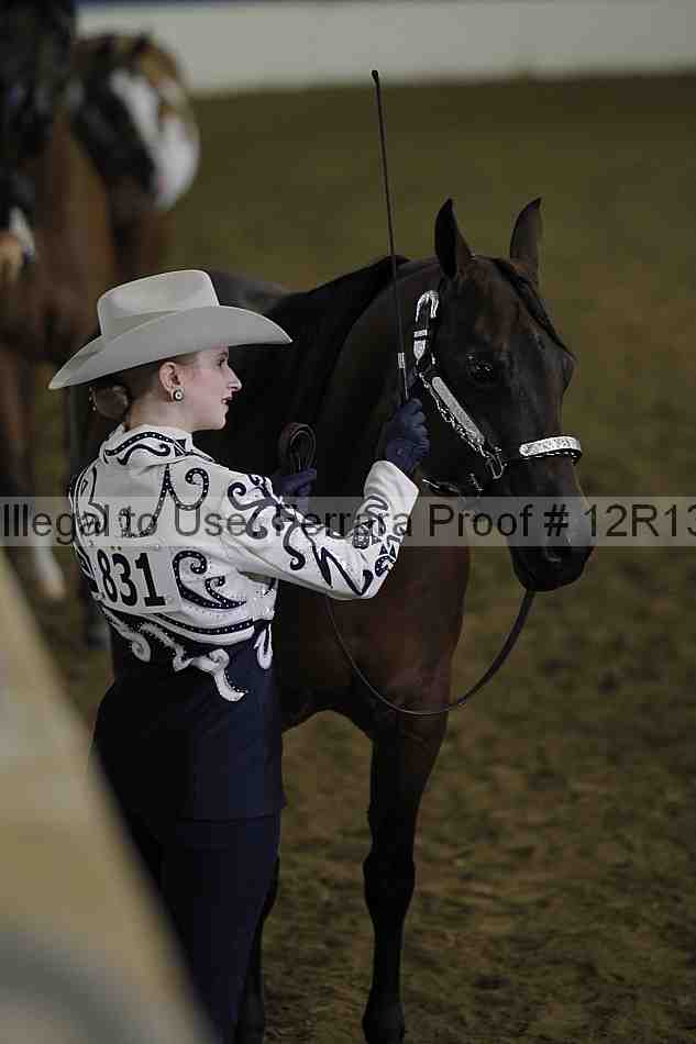 Proof 12r13_2989