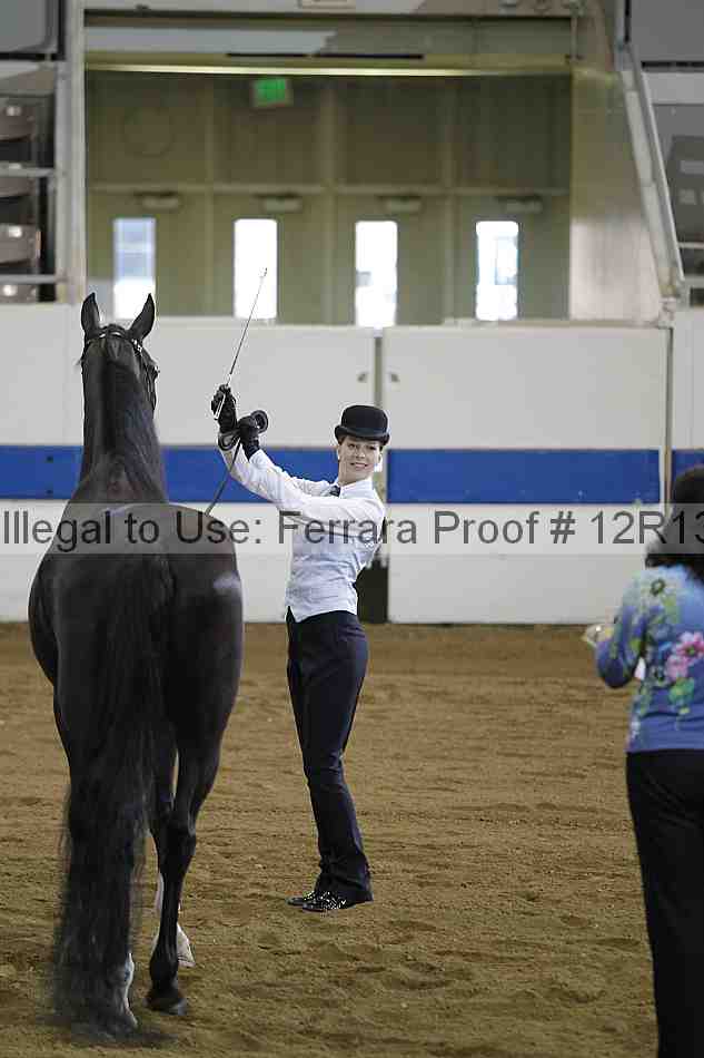 Proof 12r13_2993