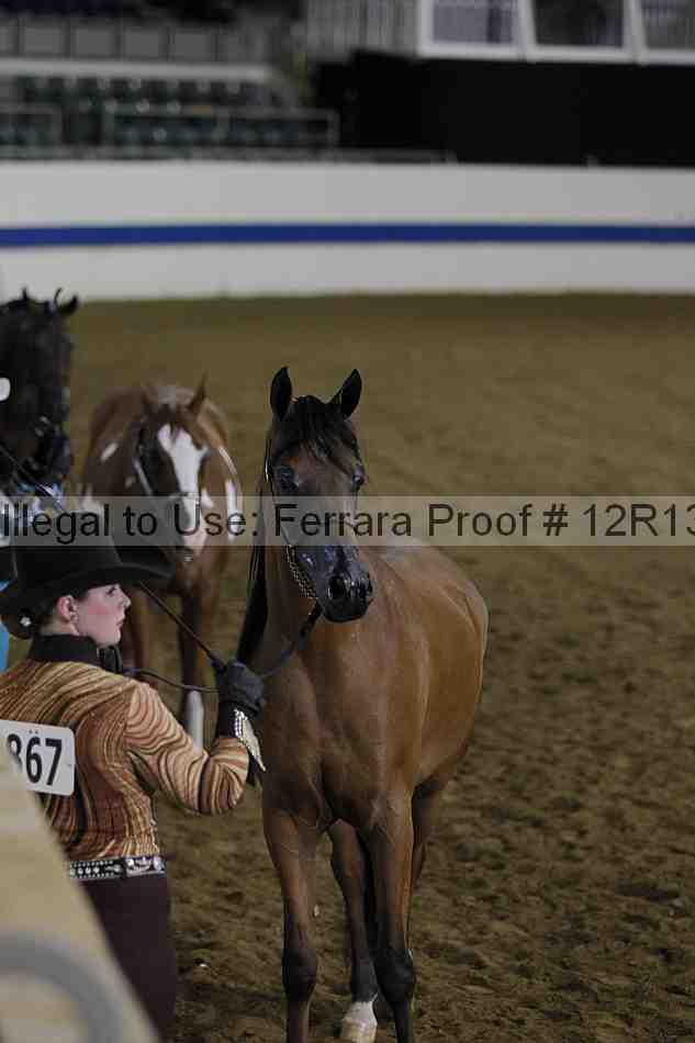 Proof 12r13_2994