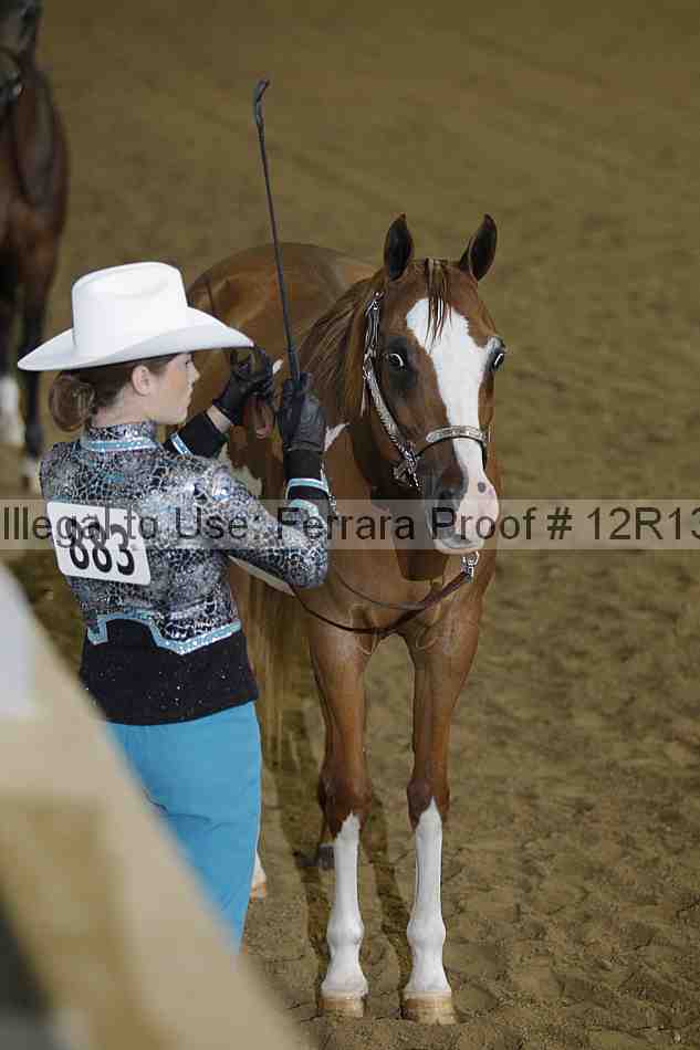 Proof 12r13_2996
