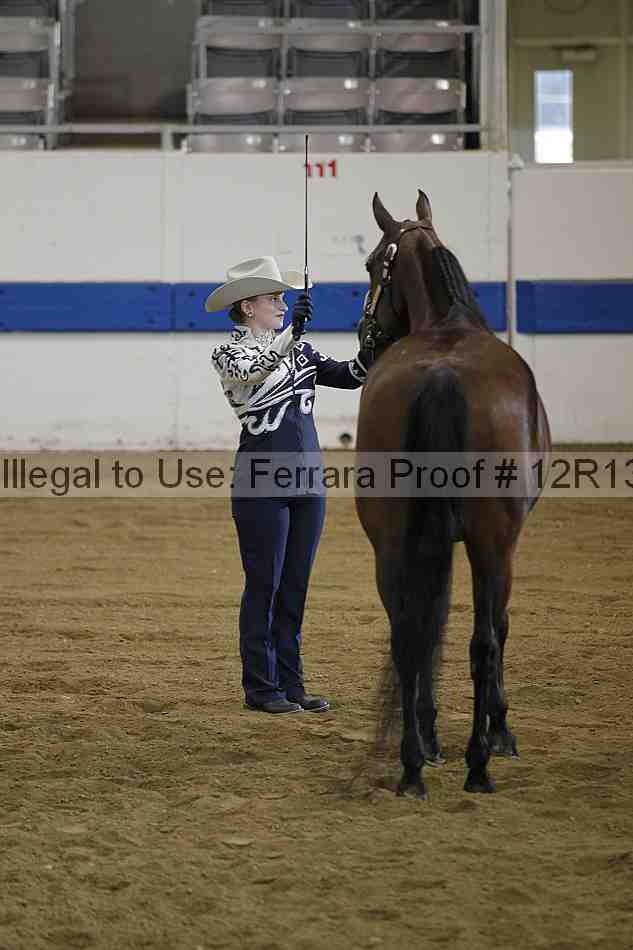 Proof 12r13_2997