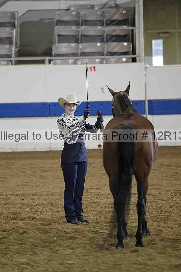 Proof 12r13_2999