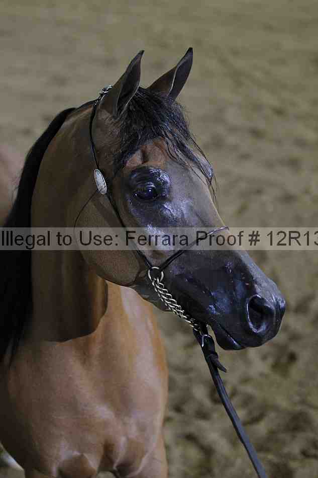 Proof 12r13_3001