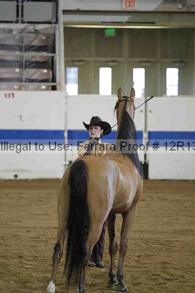 Proof 12r13_3003