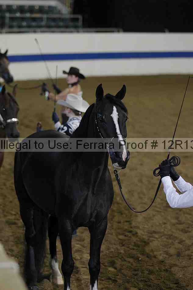 Proof 12r13_3009
