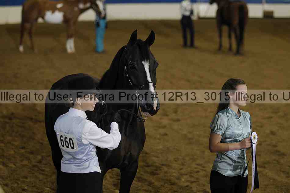 Proof 12r13_3015