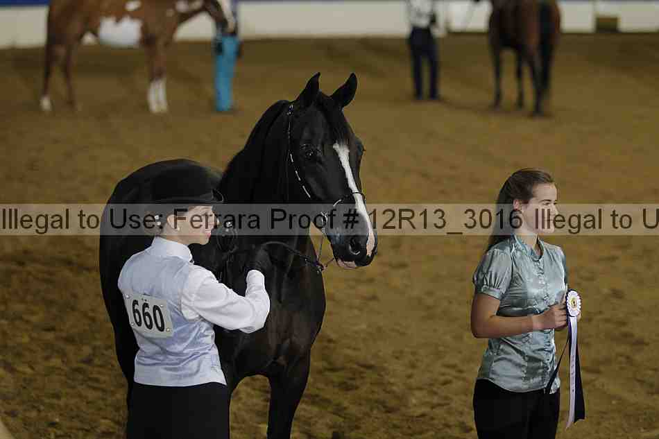 Proof 12r13_3016