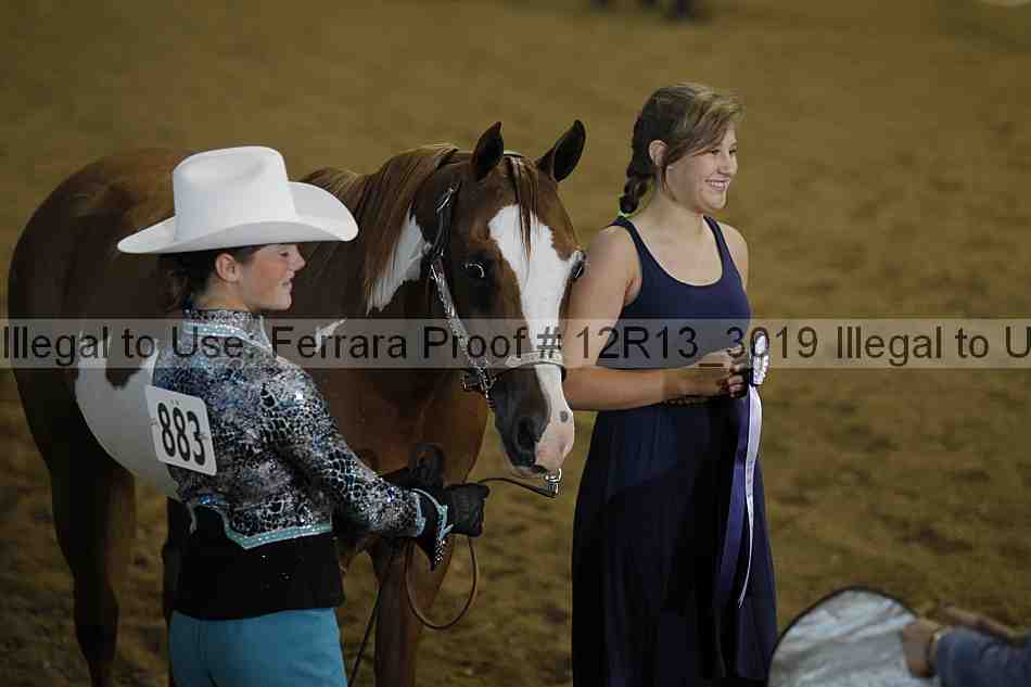 Proof 12r13_3019