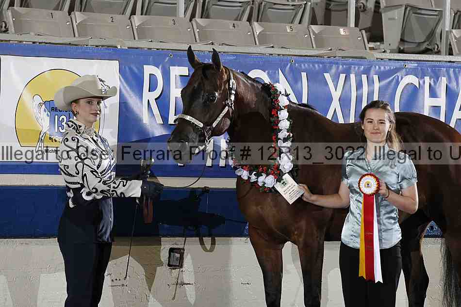 Proof 12r13_3022