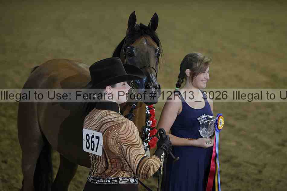 Proof 12r13_3026