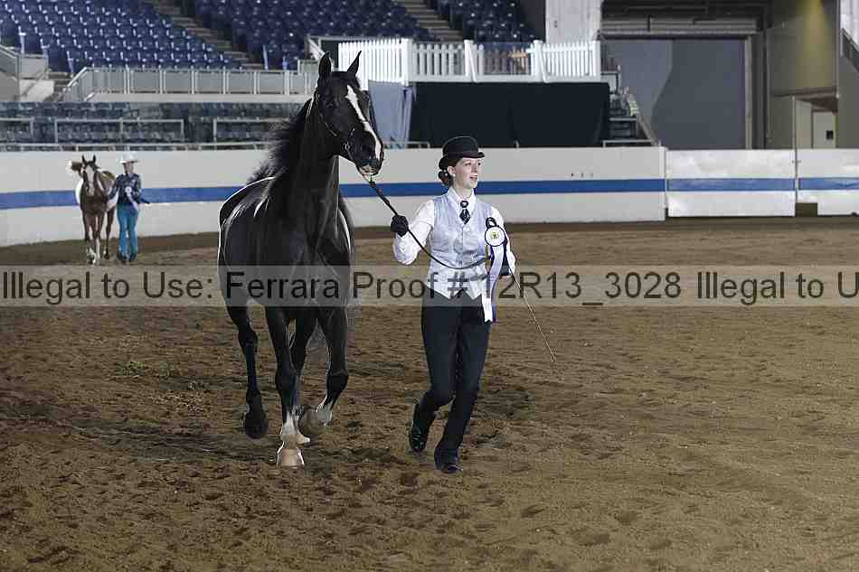 Proof 12r13_3028