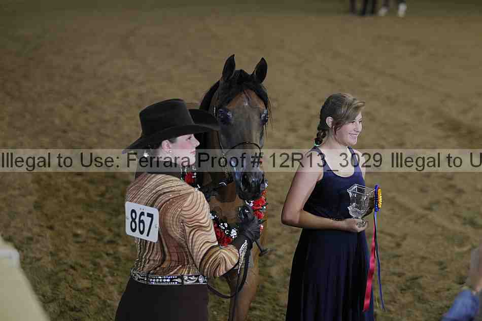 Proof 12r13_3029