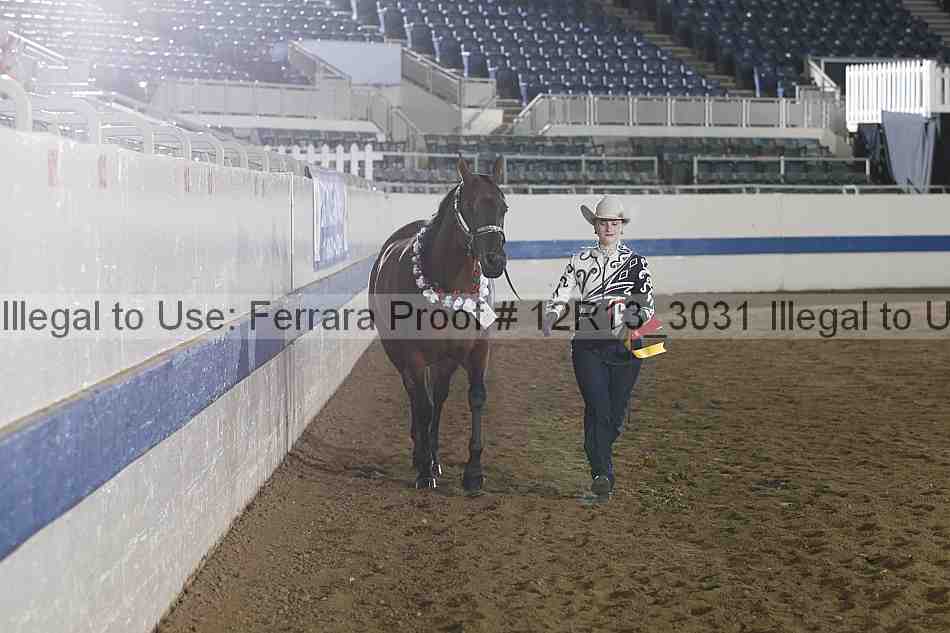 Proof 12r13_3031