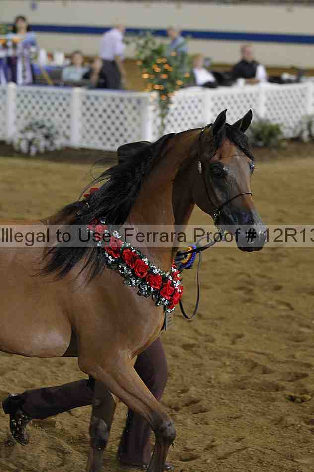Proof 12r13_3035