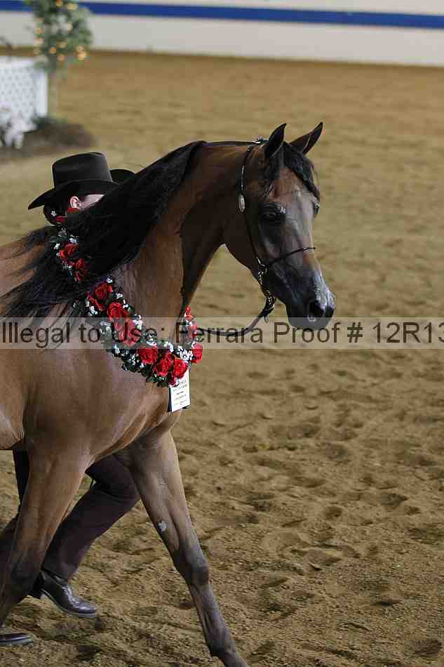 Proof 12r13_3036