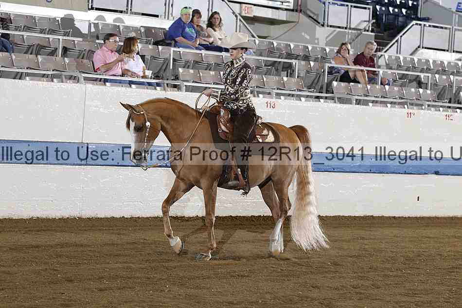 Proof 12r13_3041
