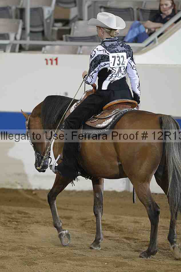 Proof 12r13_3045