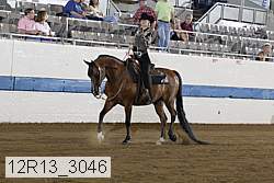 12r13_3046 proof