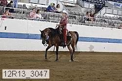 12r13_3047 proof