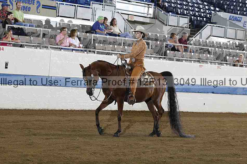 Proof 12r13_3049