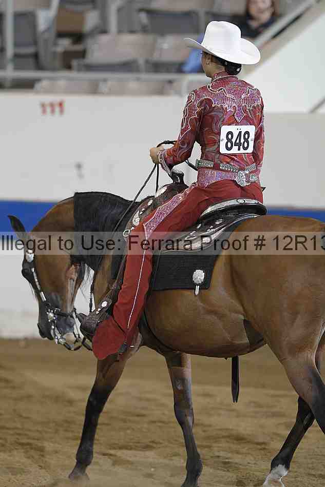 Proof 12r13_3050