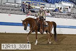 12r13_3061 proof
