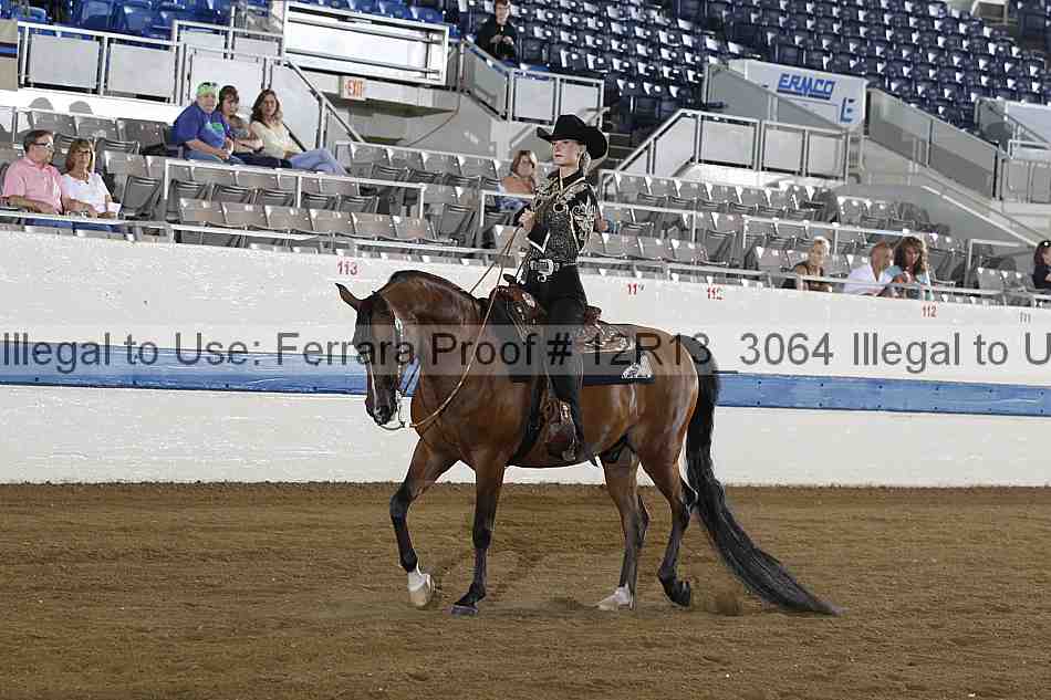 Proof 12r13_3064